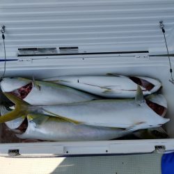 遊漁船 ニライカナイ 釣果