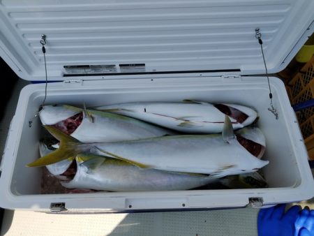 遊漁船 ニライカナイ 釣果