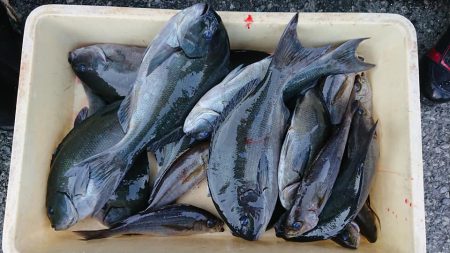 伊豆下田フィッシング 釣果