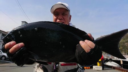 伊豆下田フィッシング 釣果