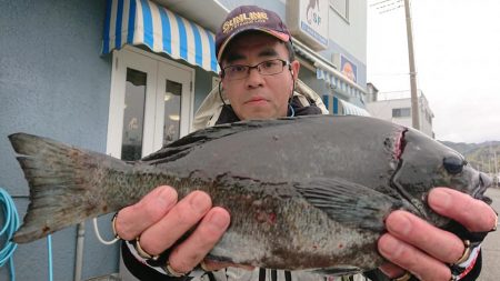 伊豆下田フィッシング 釣果