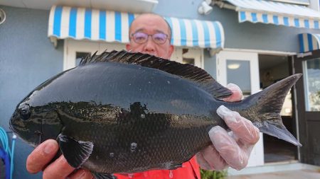 伊豆下田フィッシング 釣果