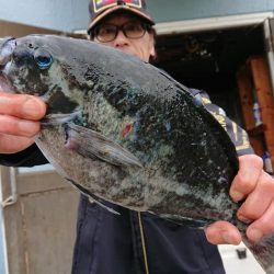 伊豆下田フィッシング 釣果