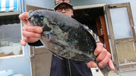 伊豆下田フィッシング 釣果