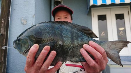 伊豆下田フィッシング 釣果
