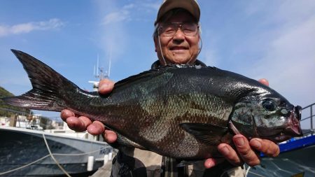 伊豆下田フィッシング 釣果