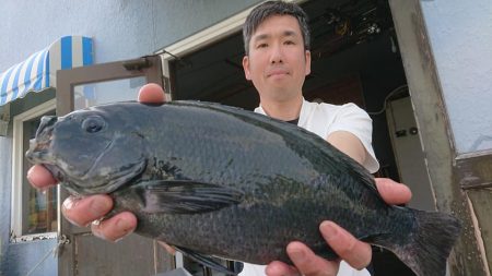 伊豆下田フィッシング 釣果
