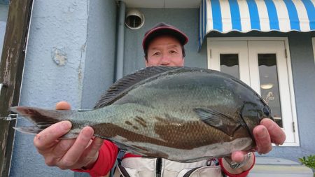 伊豆下田フィッシング 釣果
