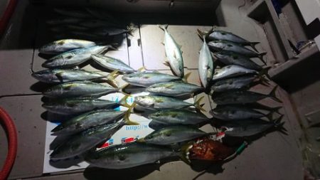 スカイマリン 釣果