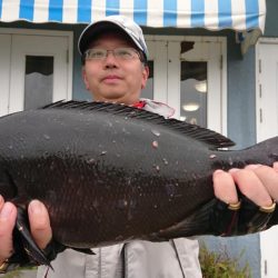 伊豆下田フィッシング 釣果