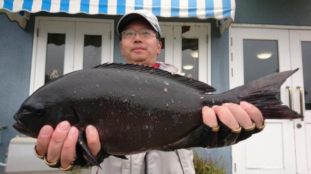伊豆下田フィッシング 釣果