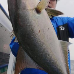 伊豆下田フィッシング 釣果