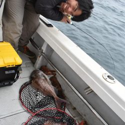 Fisherman Dreams DI 釣果