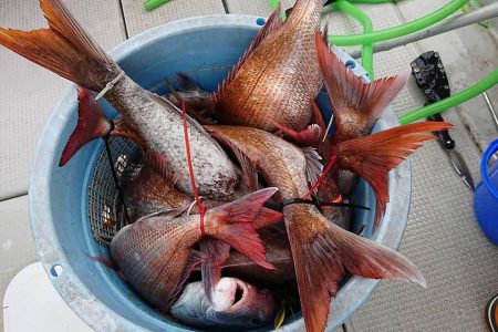 Fisherman Dreams DI 釣果