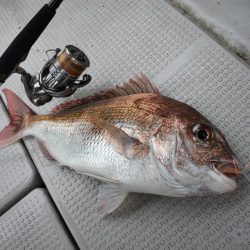 Fisherman Dreams DI 釣果