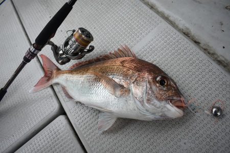 Fisherman Dreams DI 釣果