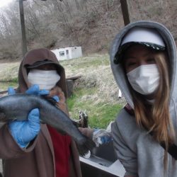 高萩ふれあいの里フィッシングエリア 釣果