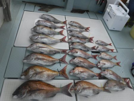 遊漁船 幸友丸 釣果