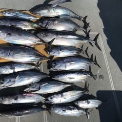 へいみつ丸 釣果