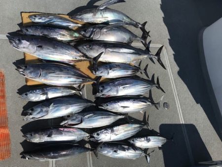 へいみつ丸 釣果