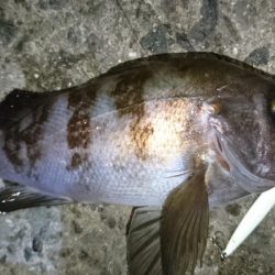 雨が降ってきたので撤退！！