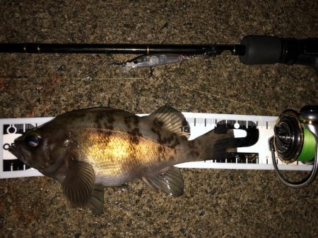 二見メバリング15