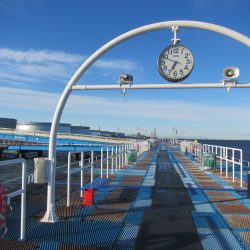 オリジナルメーカー海づり公園(市原市海づり施設) 釣果