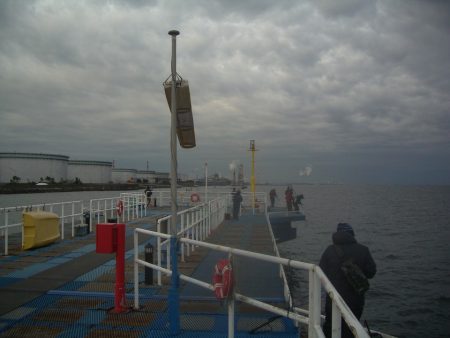 オリジナルメーカー海づり公園(市原市海づり施設) 釣果