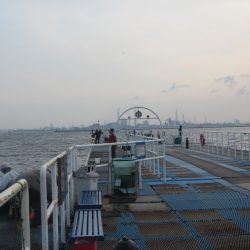 オリジナルメーカー海づり公園(市原市海づり施設) 釣果