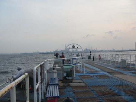 オリジナルメーカー海づり公園(市原市海づり施設) 釣果
