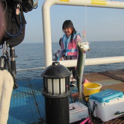 オリジナルメーカー海づり公園(市原市海づり施設) 釣果