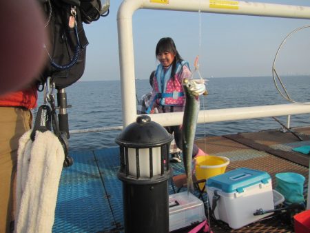 オリジナルメーカー海づり公園(市原市海づり施設) 釣果