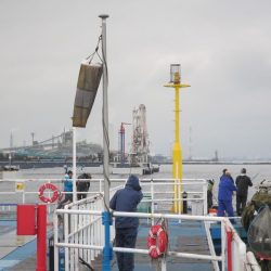 オリジナルメーカー海づり公園(市原市海づり施設) 釣果