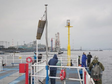 オリジナルメーカー海づり公園(市原市海づり施設) 釣果