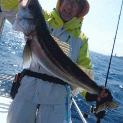 遊漁船ブルーウッズ 釣果