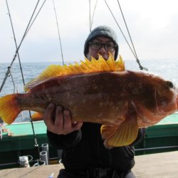 真祐丸 (しんゆうまる) 釣果