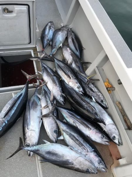 へいみつ丸 釣果