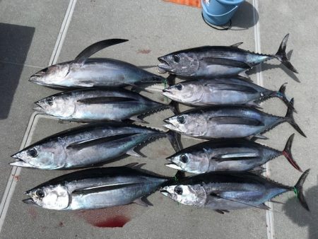 へいみつ丸 釣果