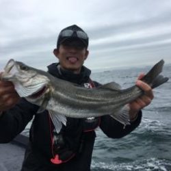 シーマジカル 釣果