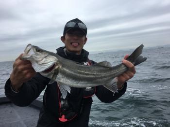 シーマジカル 釣果