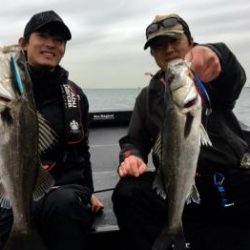 シーマジカル 釣果