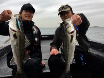 シーマジカル 釣果