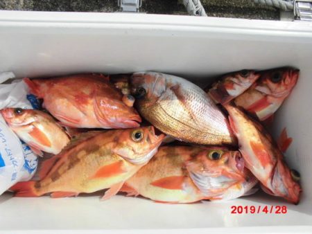 大進丸(新潟) 釣果