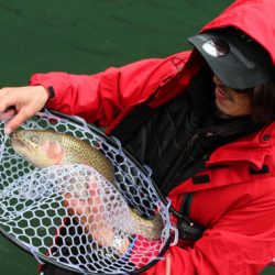 小菅トラウトガーデン 釣果