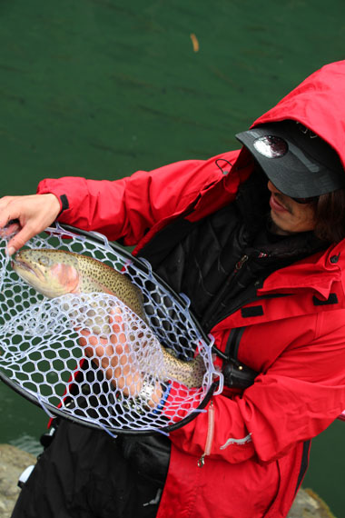 小菅トラウトガーデン 釣果