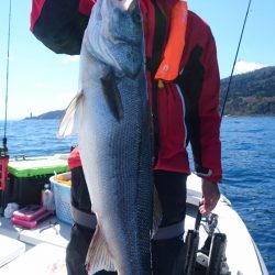 遊漁船ブルーウッズ 釣果