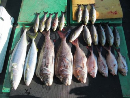 真祐丸 （しんゆうまる） 釣果