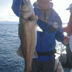 遊漁船ブルーウッズ 釣果