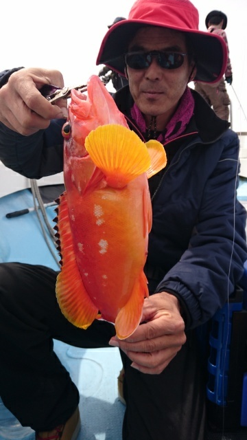 海晴丸 釣果
