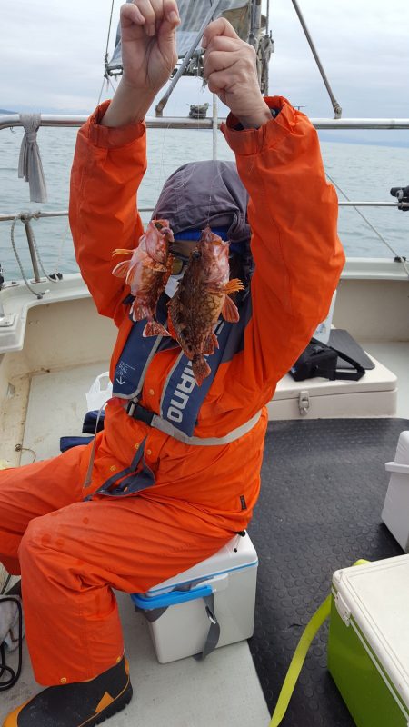 海峰 釣果